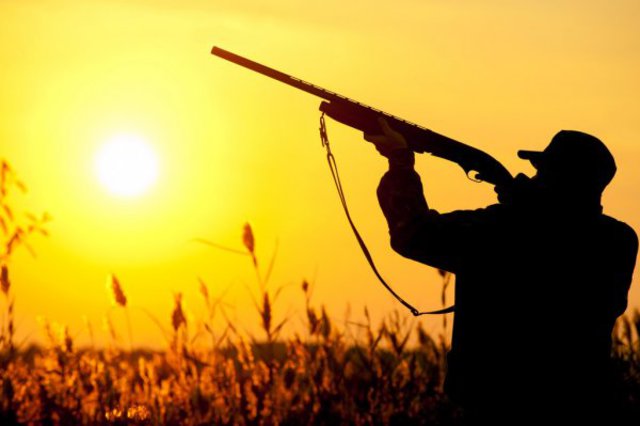 Οι νέες ρυθμίσεις για το κυνήγι - Τα νέα τέλη έκδοσης αδειών κυνηγιού